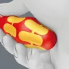 Pince-embout VDE pour lames interchangeables Wera | Voir les images du produit 10
