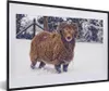 MuchoWow® Gerahmtes Poster Widder - Braun - Schnee 60x40 cm Produktbild-Vorschau 1