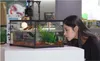 Repti-Zoo Einfaches Habitat - Terrarium 31x21x30 Repti-Zoo Produktbild-Vorschau 9