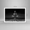 Poster - Poster ohne Rahmen - Tänzerin Frau Ballerina - Produktbild-Vorschau 4