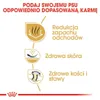 Royal Canin Bulldog Adult, Dorosły, Buldog, Średnie (11 - Podgląd zdjęcia produktu 3