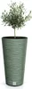 A green planter with a small olive tree inside, set against a white background. Voir les images du produit
