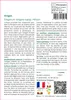 SAFLAX  - Origan - 600 graines - Origanum Voir les images du produit 3
