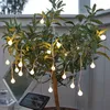Fata solare a LED Globini - 20 LED bianco caldo - L: 4,75m Anteprima dell’immagine prodotto 6
