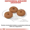 Royal Canin Size Mini Ageing +12 - 3,5 kg Podgląd zdjęcia produktu 7