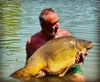 Tandem Baits Carp Food Perfection Mini Oil Hookers Hummer & Produktbild-Vorschau 6