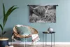 MuchoWow® Wandteppich Wandbehang Nahaufnahme Schottisches Produktbild-Vorschau 5