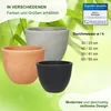 MePla - Pflanzkübel Siena ø 50 terra Produktbild-Vorschau 3