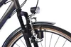 WYNN Trekkingrad 28 Zoll TRK1.0 grau Rahmenhöhe 48 cm Damen Produktbild-Vorschau 4