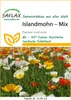 Artikelbild 2 von 'Islandmohn Mix' aus der Kategorie Mohnsamen Náhled obrázku produktu