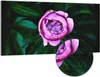 DEQORI Hybrid Leinwand Bild 100x50 cm 'Rosa Blütenzauber' Produktbild-Vorschau 1