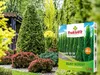 Thuja Dünger Spezialdünger Für Lebensbaum Zypressen Produktbild-Vorschau 7