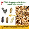 Green Guardia Kellerasseln Falle mit Spezial-Lockstoff – Produktbild-Vorschau 2