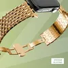 Bandz Stahlarmband Dragon passend für Apple Watch Produktbild-Vorschau 5