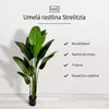 IvoQ Strelitzia umelá rastlina 210 cm - veľká strelícia - Náhľad obrázku produktu 2