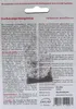 SAFLAX - Großblumige Königskerze - Verbascum densiflorum - Produktbild-Vorschau 8