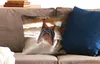 MuchoWow® Zierkissen Sofakissen Wohnzimmer Dekokissen 45x45 Produktbild-Vorschau 2