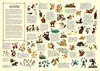The World of the Odyssey Produktbild-Vorschau 2