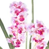 Cymbidie orientalis Kunstpflanze 80cm Weiß-Lila Real Touch Produktbild-Vorschau 2