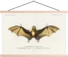 MuchoWow® Textilposter Vintage - Fledermaus - Tier 120x80 Produktbild-Vorschau 1