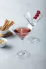 LEONARDO Daily, Sklenice na martini, Sklo, Průhledná, 6 Náhled obrázku produktu 3