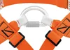 Oranger Petzl Superavanti Speläogurt mit weißem Sicherungsring und schwarzen Schnallen Produktbild-Vorschau