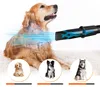 Sèche-cheveux pour animaux de compagnie, vitesse réglable, Voir les images du produit 3
