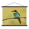 MuchoWow® Textilposter Vogel - Bienenfresser - Tiere 40x30 Produktbild-Vorschau 1