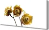 Tulup Leinwand-Bilder 125x50 Wandbild Canvas Kunstdruck Produktbild-Vorschau 1