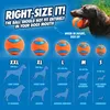 Chuckit! 17030, Hondenspeelgoed, Bal, Blauw, Oranje, Productafbeelding-voorbeeld 4