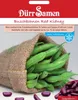 Dürr-Samen - Buschbohnen Red Kidney - Saatgut - 0334 Produktbild-Vorschau 7