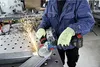 Bosch GWX 18V -10 SC Akku-Winkelschleifer Produktbild-Vorschau 5