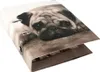 Starpak Dog A4 Hunde-Ordner Produktbild-Vorschau 2