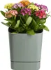HowHomely | Pflanzgefäß - Blumentopf mit Untersetzer - Produktbild-Vorschau 1