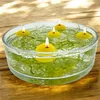 Gala Bougies flottantes jaune citron Ø 45 x 30 mm - 20 Voir les images du produit 3
