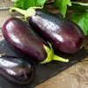 Aubergine Samen Schwarze Schönheit Lila Birne Der Liebe 1G Produktbild-Vorschau 16