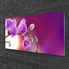 Acrylglasbilder 100x50 Wandbild Druck Blumen Pflanzen Produktbild-Vorschau 2