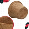 KOTARBAU® Kvetináč z kokosových vlákien 14x21,5 cm Náhľad obrázku produktu 5