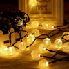 A string of solar-powered LED lights with round, textured bulbs, draped around a decorative plant and a picture frame. Voir les images du produit