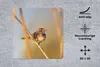 MuchoWow® Mauspad Mousepad Vögel - Blaukehlchen - Schilf Produktbild-Vorschau 2
