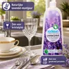 Detersivo piatti lavanda e menta 1 litro, sapone piatti Anteprima dell’immagine prodotto 4