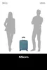 Valigia American Tourister FLYTWIST SPINNER 55/20 TSA STORM Anteprima dell’immagine prodotto 12