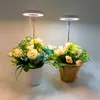 Two artificial flower arrangements in pots, each with a ring-shaped grow light above it. Náhľad obrázku produktu