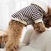 Cane da compagnia Gatti Bulldog Abbigliamento T-shirt a Anteprima dell’immagine prodotto 8