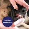 Canosept Zahnpflege Pads für Hunde - 50er Pack Produktbild-Vorschau 5