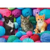 Castorland Kittens in Yarn Store, 1000 szt., Animals, 9 Podgląd zdjęcia produktu 2