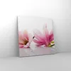 Bild auf Leinwand - Leinwandbild - Magnolie blume natur Produktbild-Vorschau 4