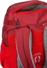 Deuter Junior, Górne, Wędrówki, Czerwony, Uni , Podgląd zdjęcia produktu 14