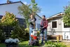Trituratore elettrico a rulli IKRA Trituratore da giardino Anteprima dell’immagine prodotto 16