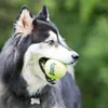 KONG AirDog Squeakair, Hund, Kugellager, Gelb, Abholen, 4 Produktbild-Vorschau 3